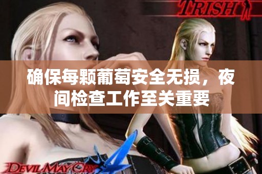 确保每颗葡萄安全无损，夜间检查工作至关重要