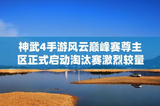 神武4手游风云巅峰赛尊主区正式启动淘汰赛激烈较量