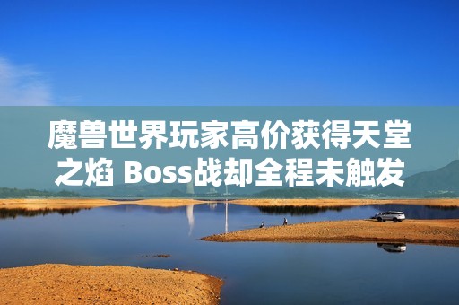 魔兽世界玩家高价获得天堂之焰 Boss战却全程未触发亏损惨重