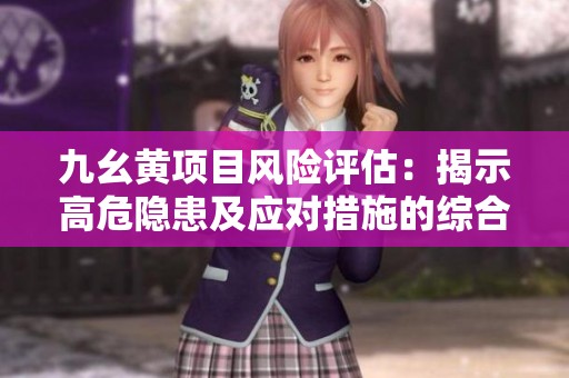 九幺黄项目风险评估：揭示高危隐患及应对措施的综合分析