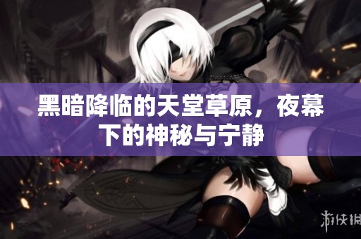 黑暗降临的天堂草原，夜幕下的神秘与宁静