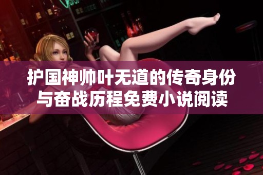 护国神帅叶无道的传奇身份与奋战历程免费小说阅读