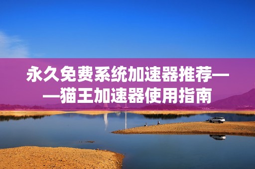 永久免费系统加速器推荐——猫王加速器使用指南