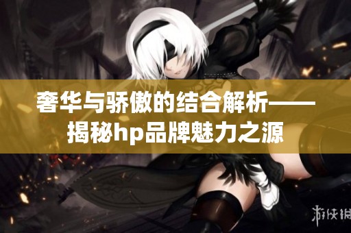 奢华与骄傲的结合解析——揭秘hp品牌魅力之源