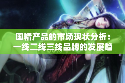 国精产品的市场现状分析：一线二线三线品牌的发展趋势与挑战