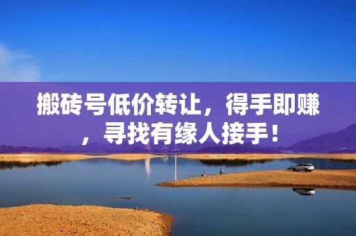 搬砖号低价转让，得手即赚，寻找有缘人接手！