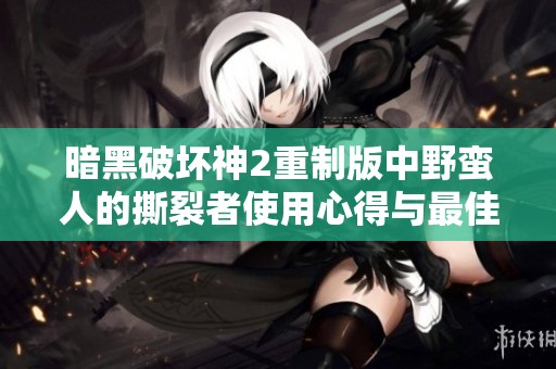 暗黑破坏神2重制版中野蛮人的撕裂者使用心得与最佳搭配解析