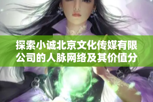 探索小诚北京文化传媒有限公司的人脉网络及其价值分析