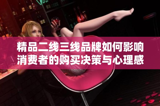 精品二线三线品牌如何影响消费者的购买决策与心理感受