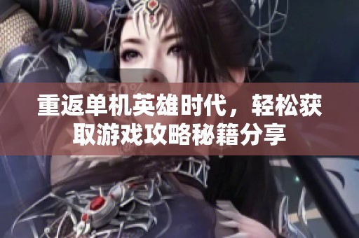 重返单机英雄时代，轻松获取游戏攻略秘籍分享