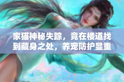 家猫神秘失踪，竟在楼道找到藏身之处，养宠防护显重要