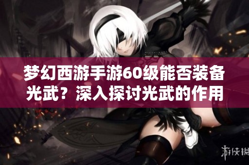 梦幻西游手游60级能否装备光武？深入探讨光武的作用与限制