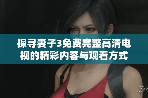 探寻妻子3免费完整高清电视的精彩内容与观看方式