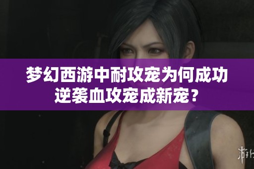 梦幻西游中耐攻宠为何成功逆袭血攻宠成新宠？