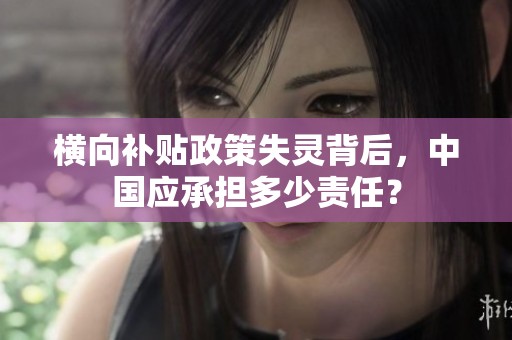 横向补贴政策失灵背后，中国应承担多少责任？
