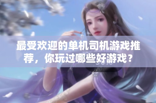 最受欢迎的单机司机游戏推荐，你玩过哪些好游戏？