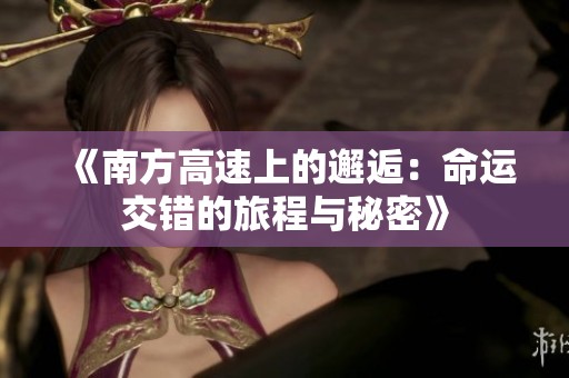 《南方高速上的邂逅：命运交错的旅程与秘密》