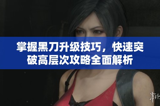 掌握黑刀升级技巧，快速突破高层次攻略全面解析