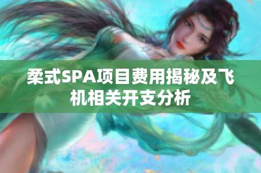 柔式SPA项目费用揭秘及飞机相关开支分析