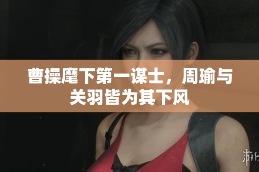 曹操麾下第一谋士，周瑜与关羽皆为其下风