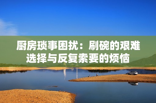 厨房琐事困扰：刷碗的艰难选择与反复索要的烦恼