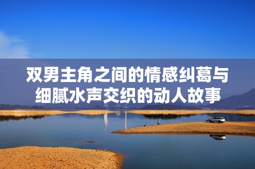 双男主角之间的情感纠葛与细腻水声交织的动人故事