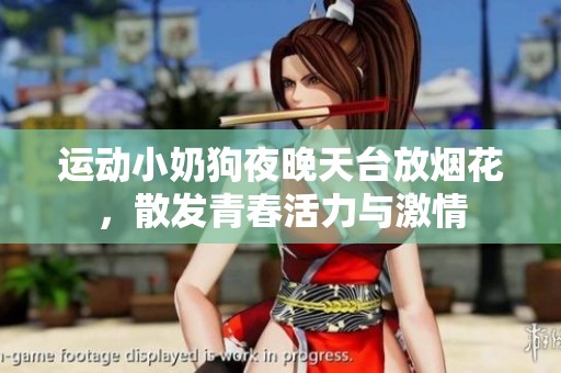 运动小奶狗夜晚天台放烟花，散发青春活力与激情