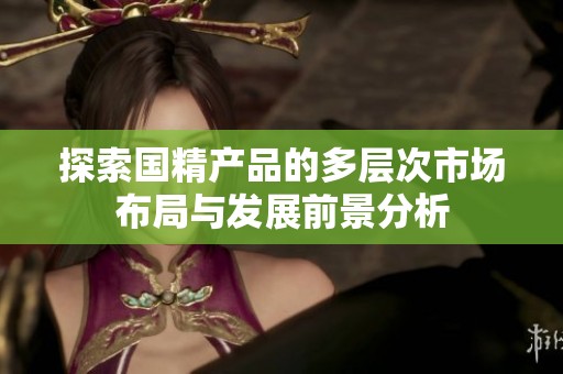 探索国精产品的多层次市场布局与发展前景分析