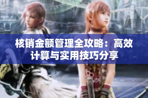 核销金额管理全攻略：高效计算与实用技巧分享