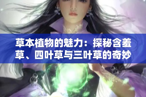 草本植物的魅力：探秘含羞草、四叶草与三叶草的奇妙世界