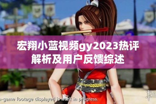 宏翔小蓝视频gy2023热评解析及用户反馈综述