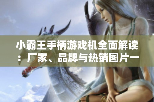 小霸王手柄游戏机全面解读：厂家、品牌与热销图片一览