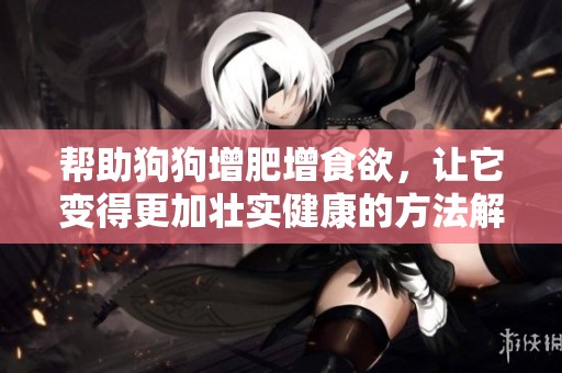 帮助狗狗增肥增食欲，让它变得更加壮实健康的方法解析