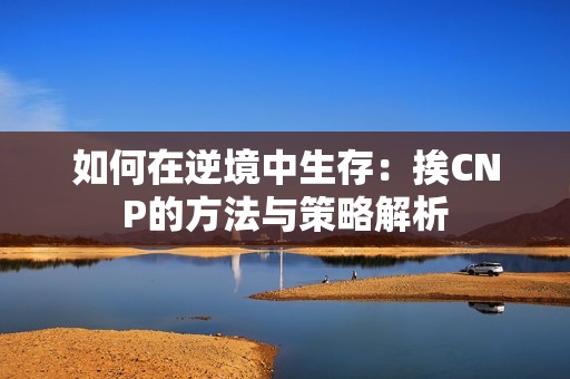 如何在逆境中生存：挨CNP的方法与策略解析