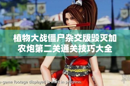植物大战僵尸杂交版毁灭加农炮第二关通关技巧大全