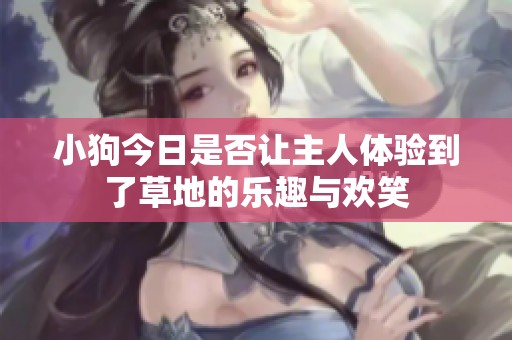 小狗今日是否让主人体验到了草地的乐趣与欢笑