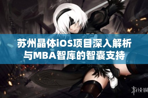 苏州晶体iOS项目深入解析与MBA智库的智囊支持