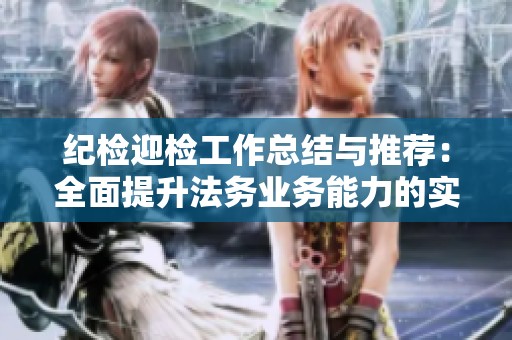 纪检迎检工作总结与推荐：全面提升法务业务能力的实践探讨
