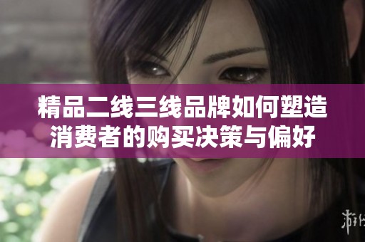 精品二线三线品牌如何塑造消费者的购买决策与偏好
