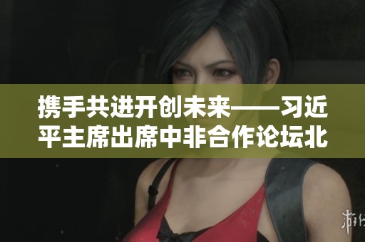 携手共进开创未来——习近平主席出席中非合作论坛北京峰会纪实