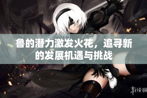 鲁的潜力激发火花，追寻新的发展机遇与挑战