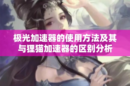 极光加速器的使用方法及其与狸猫加速器的区别分析