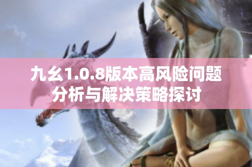 九幺1.0.8版本高风险问题分析与解决策略探讨