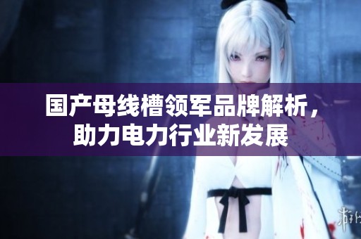 国产母线槽领军品牌解析，助力电力行业新发展