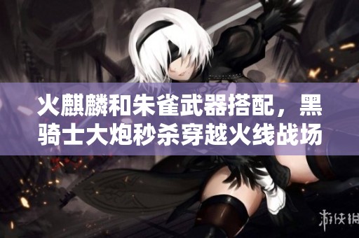 火麒麟和朱雀武器搭配，黑骑士大炮秒杀穿越火线战场！