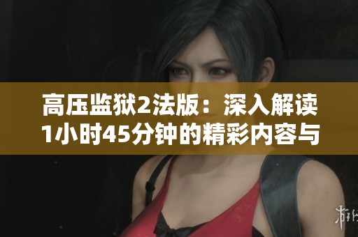 高压监狱2法版：深入解读1小时45分钟的精彩内容与看点