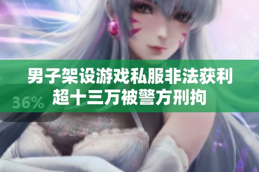 男子架设游戏私服非法获利超十三万被警方刑拘