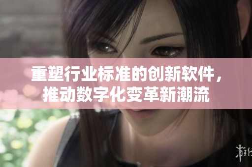 重塑行业标准的创新软件，推动数字化变革新潮流