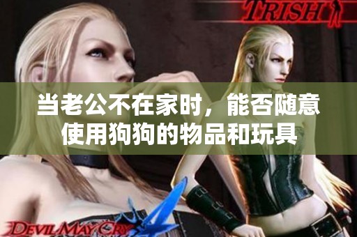 当老公不在家时，能否随意使用狗狗的物品和玩具