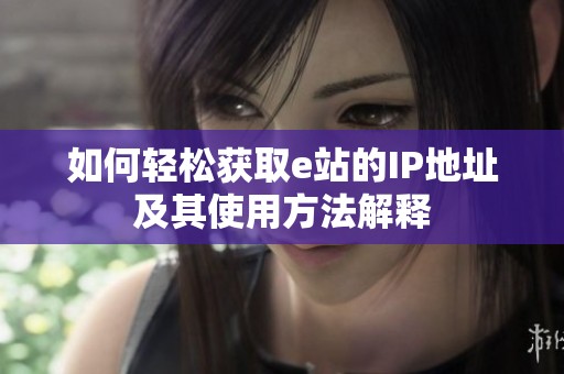 如何轻松获取e站的IP地址及其使用方法解释